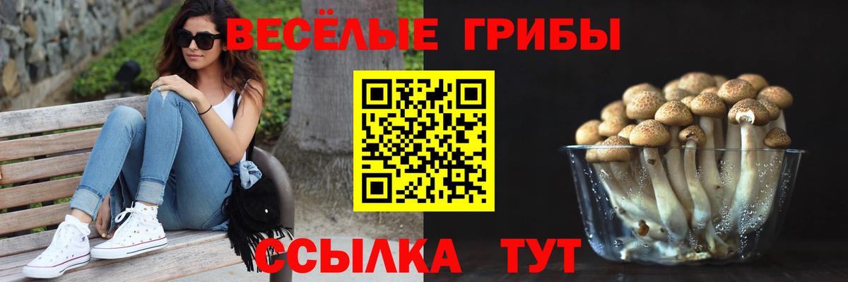 Псилоцибиновые грибы мухоморы  Псилоцибиновые грибы прущие грибы  Тобольск  где можно купить наркотик  Вход с VPN 